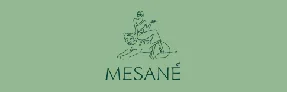 Mesane